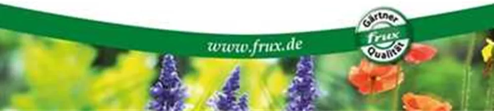 frux Flyer Warum frux_ Bild.jpg